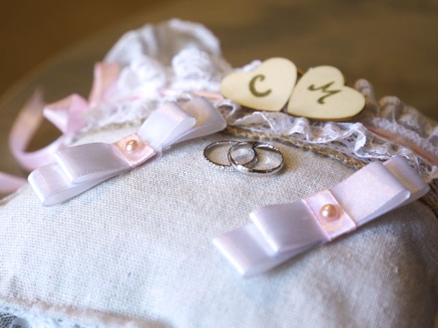 La boda de Carlos y Marta en Ávila, Ávila 11