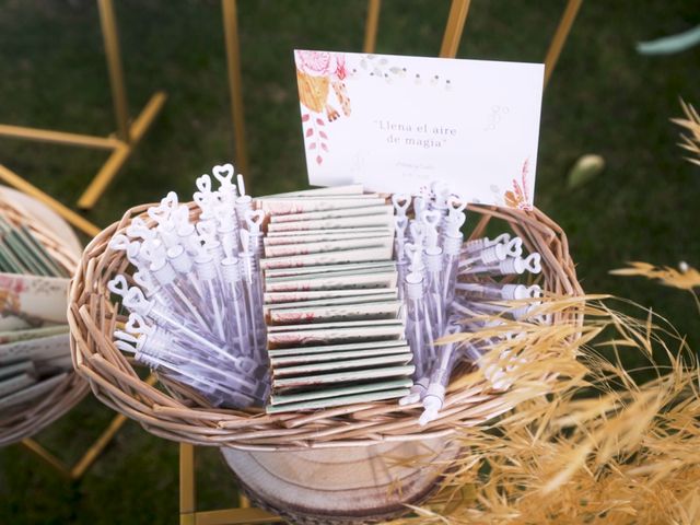 La boda de Carlos y Marta en Ávila, Ávila 24