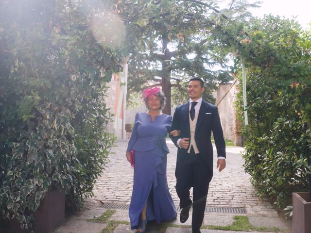 La boda de Carlos y Marta en Ávila, Ávila 27
