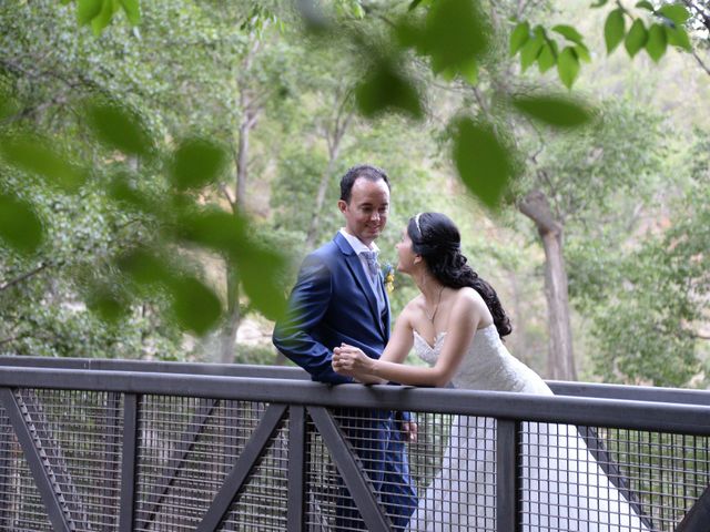 La boda de Jose y Estefanía en Laujar De Andarax, Almería 16