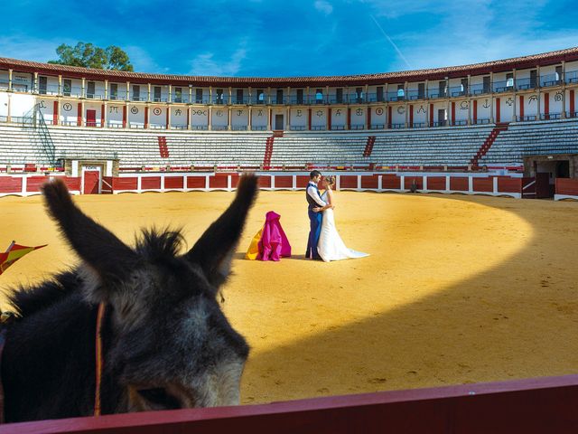 La boda de Noelia y Daniel en Cáceres, Cáceres 54