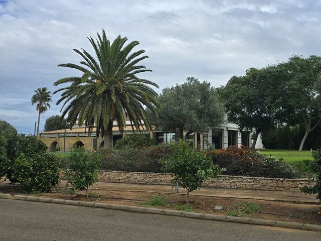 La boda de Rubén y M° Amparo en Catarroja, Valencia 2