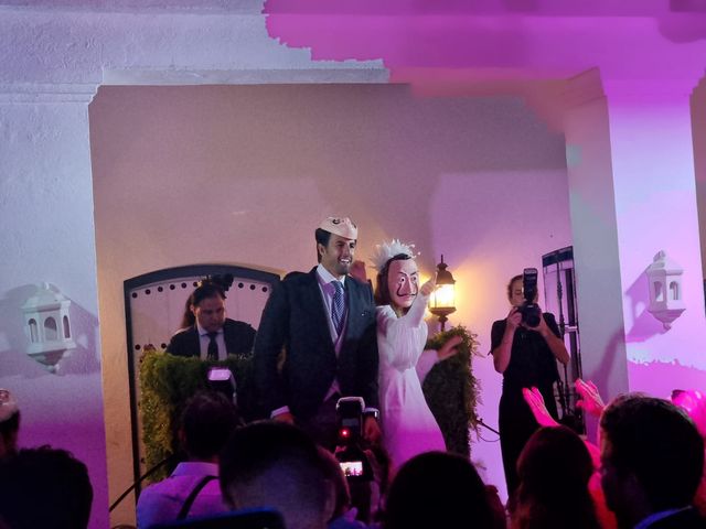 La boda de Álvaro  y Olaia en Marbella, Málaga 8