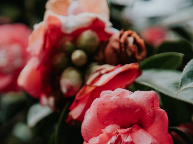 La boda de Isabel y David en La Matanza De Acentejo, Santa Cruz de Tenerife 44