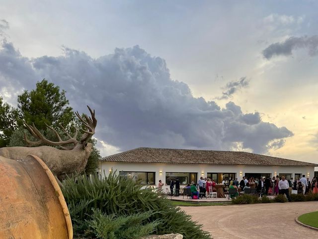 La boda de Sergio y Adrián  en Campo De Criptana, Ciudad Real 2