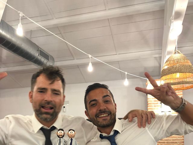 La boda de Sergio y Adrián  en Campo De Criptana, Ciudad Real 5