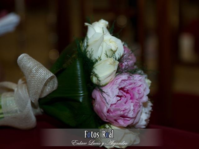 La boda de Alejandro y Lucía en San Fernando, Cádiz 5
