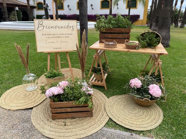 La boda de Javier y Lourdes  en Jerez De La Frontera, Cádiz 3