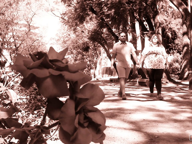 La boda de Fran y Neiva en Jerez De La Frontera, Cádiz 1