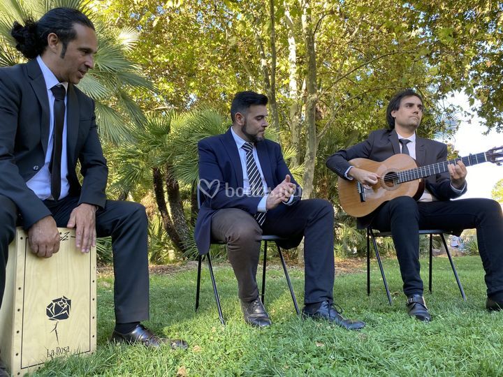 Eventos Flamenco Aceves