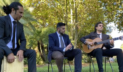 Eventos Flamenco Aceves