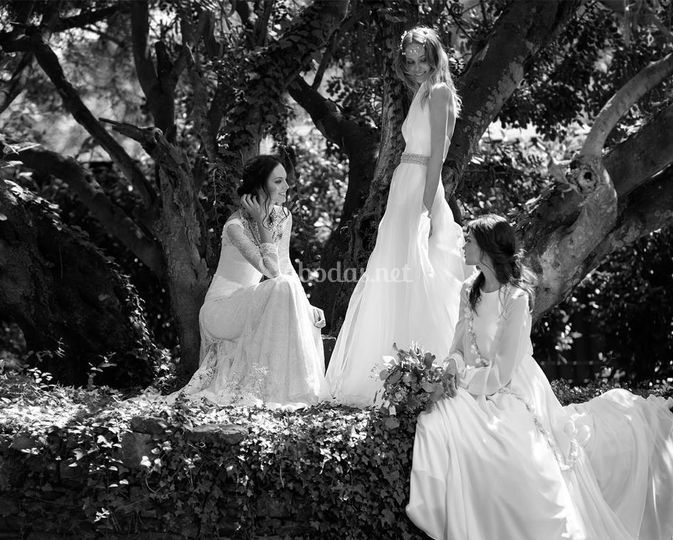 Borgia Novias