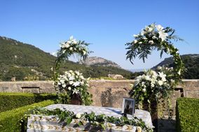 Tallo Floristas