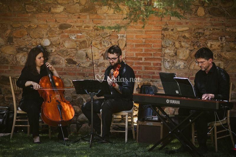 Cuerda y Compás