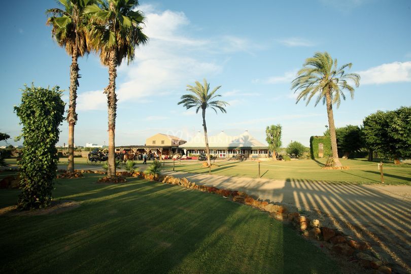 Vega de Montalvo