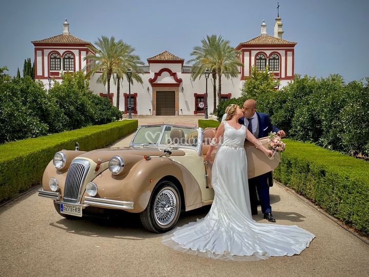 Royal Wedding