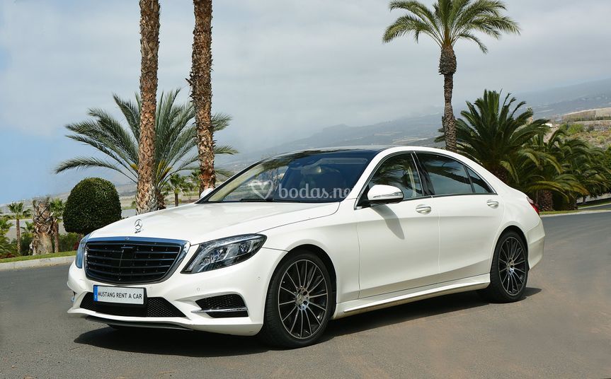 Elite Cars