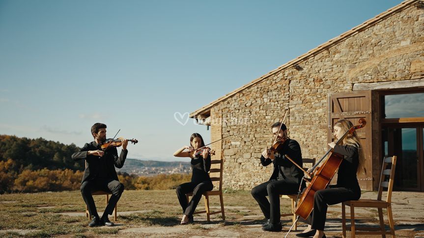 Edelweiss Quartet