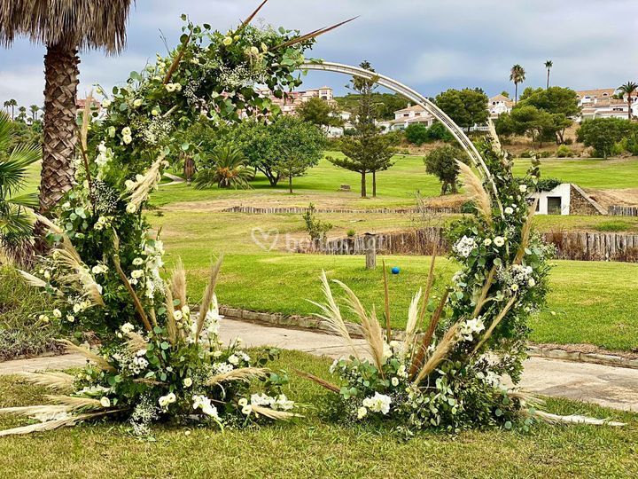 Floristería Violeta