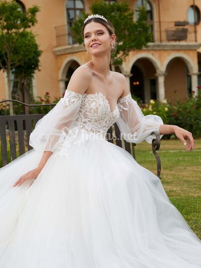 Vega Novias