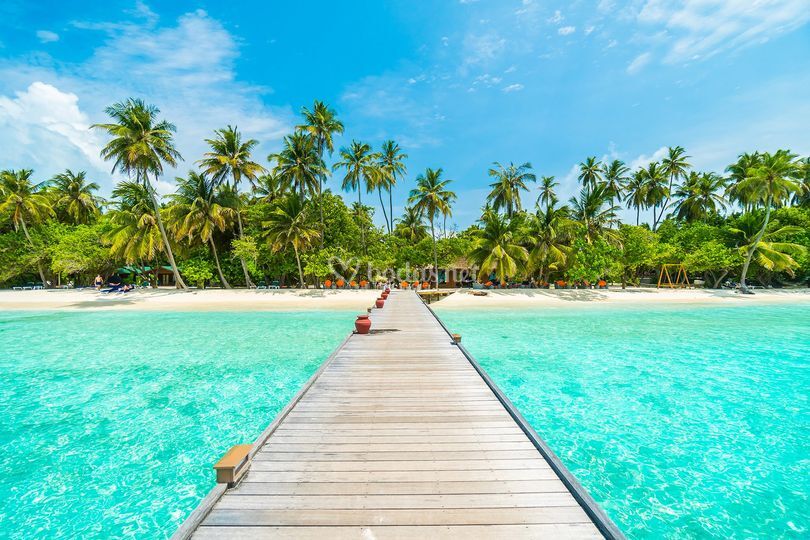 Viajes de miel
