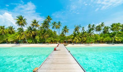 Viajes de miel
