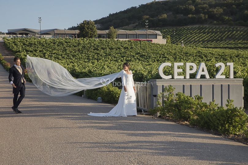 Bodega Cepa 21