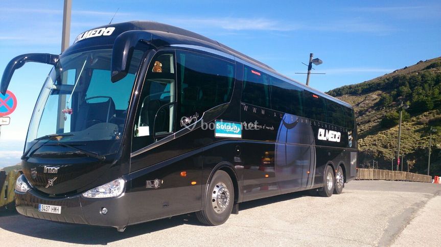 Autocares Olmedo
