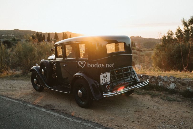 Hollywood Martin Cars
