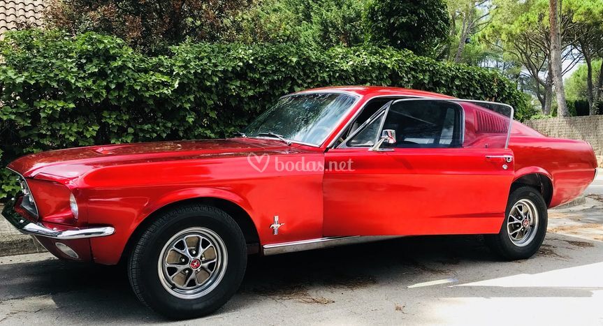 Xavier Badia - Ford Mustang Fastback