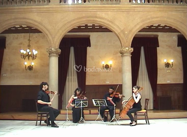 Cuarteto de cuerda Haffner