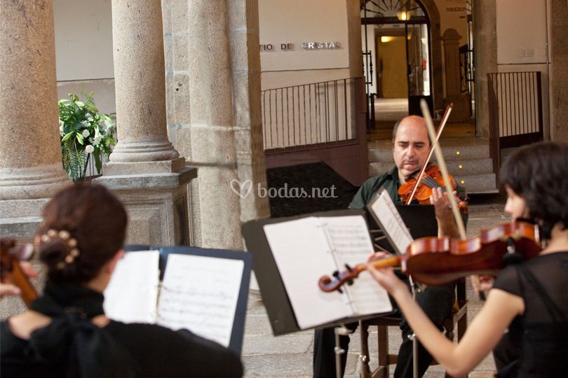 Violines boda