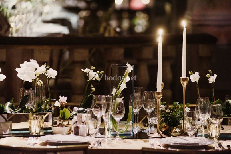 Alchemia Events