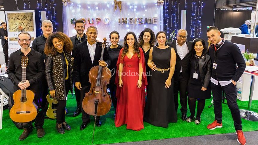 Grupo Insieme