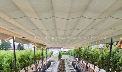 Bodegas Valdemar