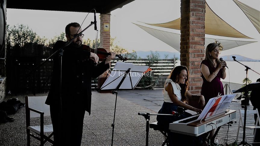 Alma Mater Músicos