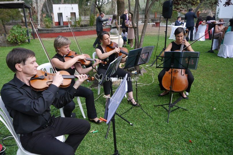 Cuarteto Guadiana
