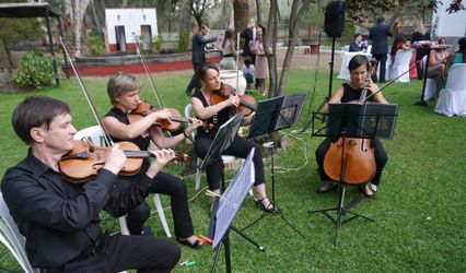 Cuarteto Guadiana