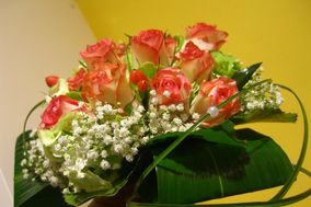 Taller de Flors Muscari