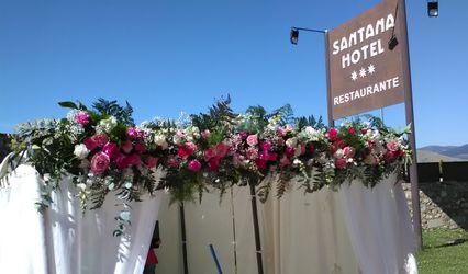 Flor de loto
