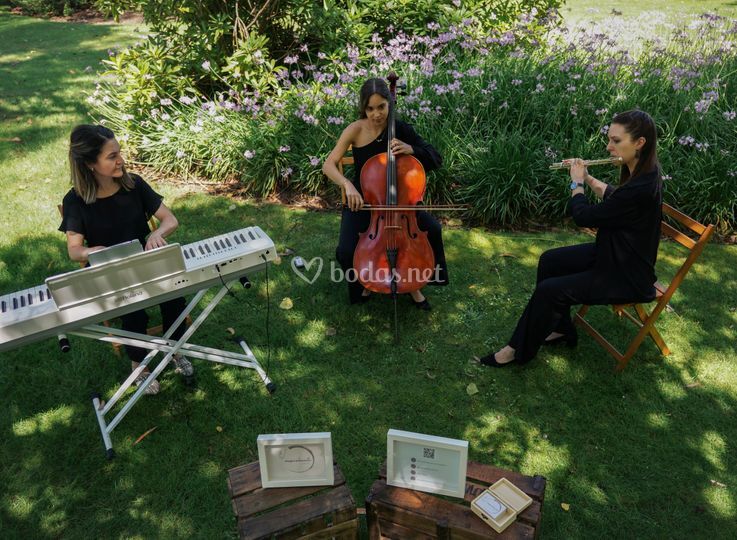 Musicalmente Eventos