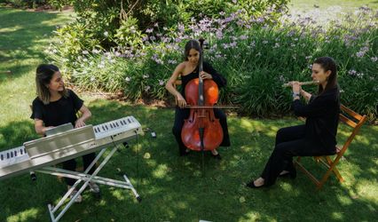 Musicalmente Eventos