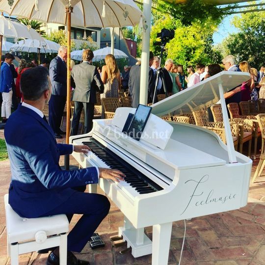 Feelmusic - Piano blanco