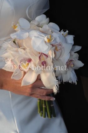 Floristeria Bast