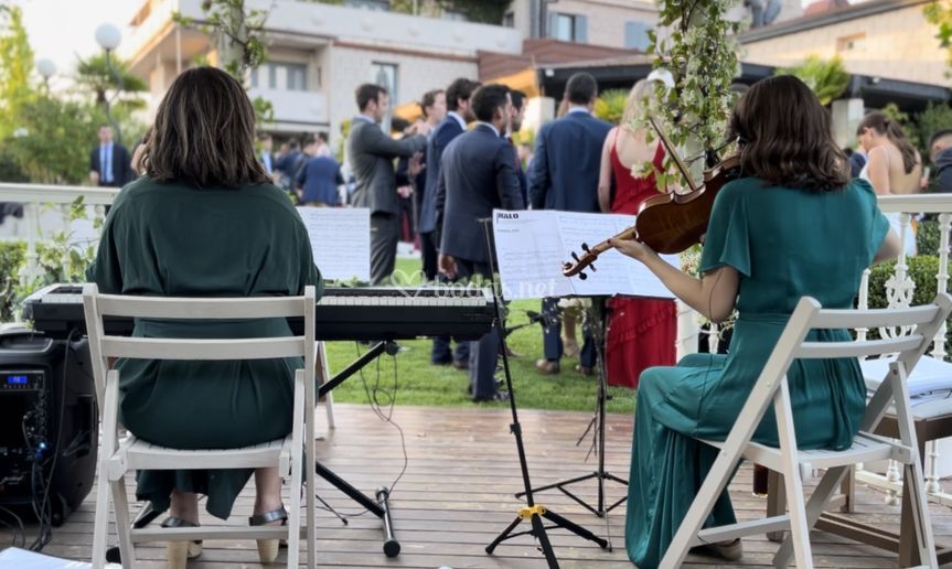 La Música de las Libélulas