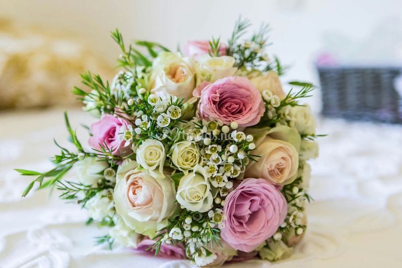 Floristería Majoris