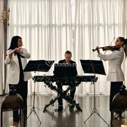 Crescendo Grupo de Cámara