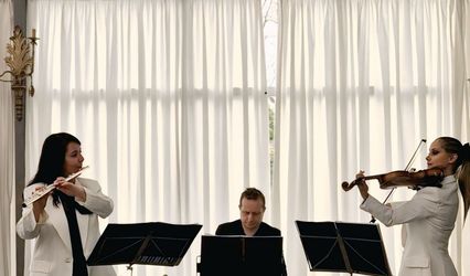 Crescendo Grupo de Cámara