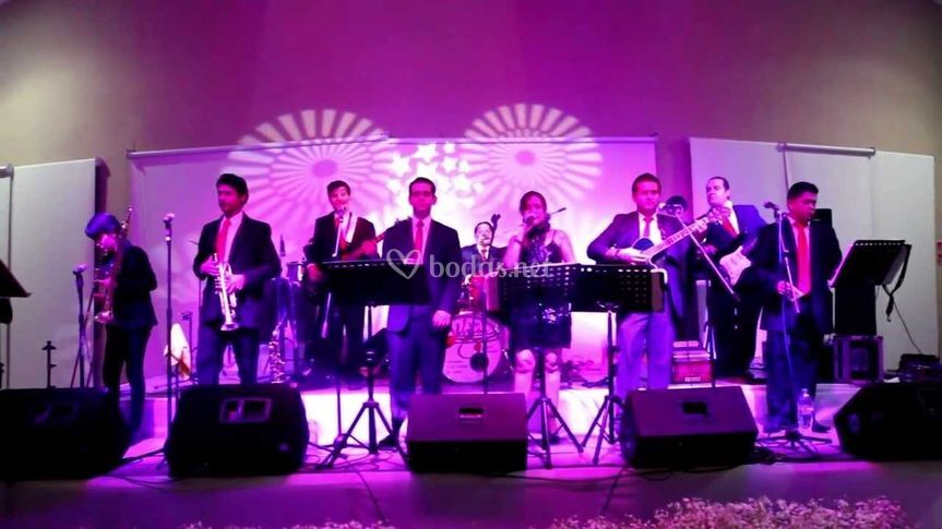 Cuanto Cobra Un Músico De Orquesta Sinfónica De Viena