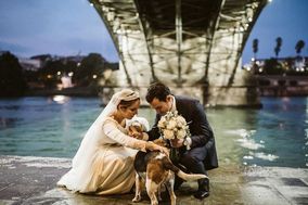 Sevilla de Fiesta